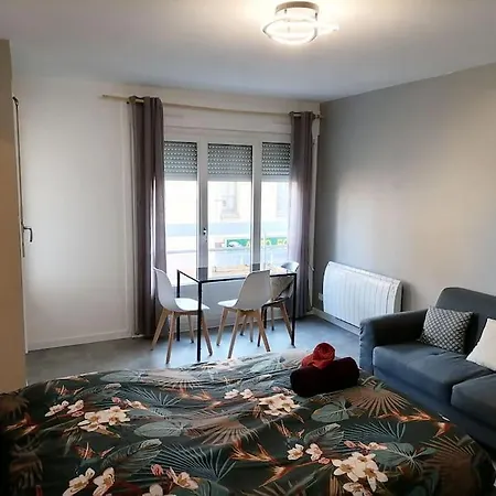 La Bergerie Centre 아파트 앙제