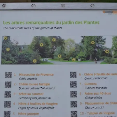 La Bergerie Centre 아파트