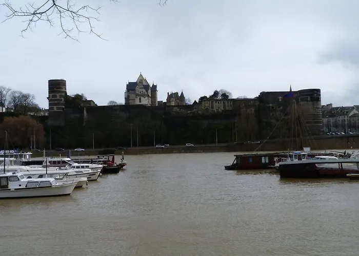 La Bergerie Centre アパート アンジェ